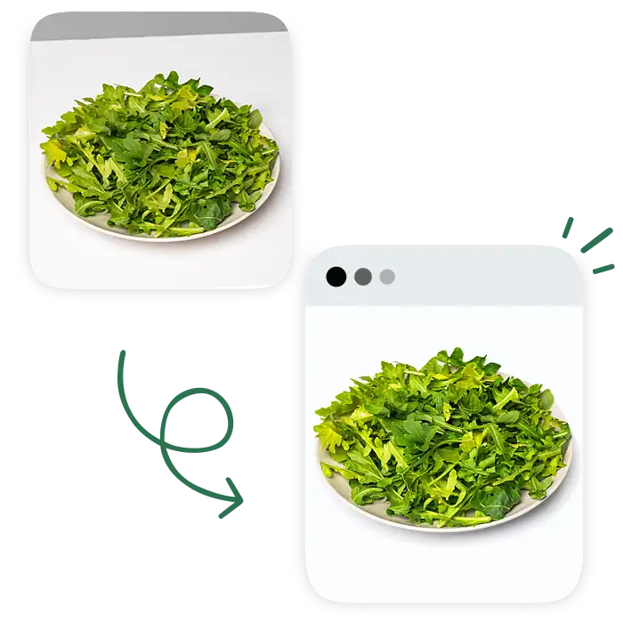 Professional Clipping Path Service